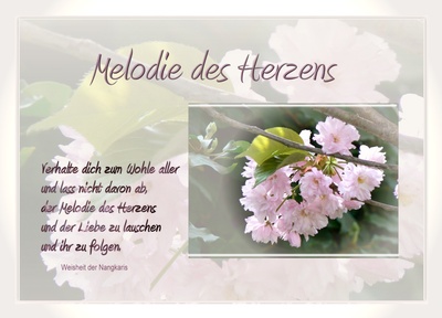Kostenloses Foto Melodie des Herzens pixelio.de